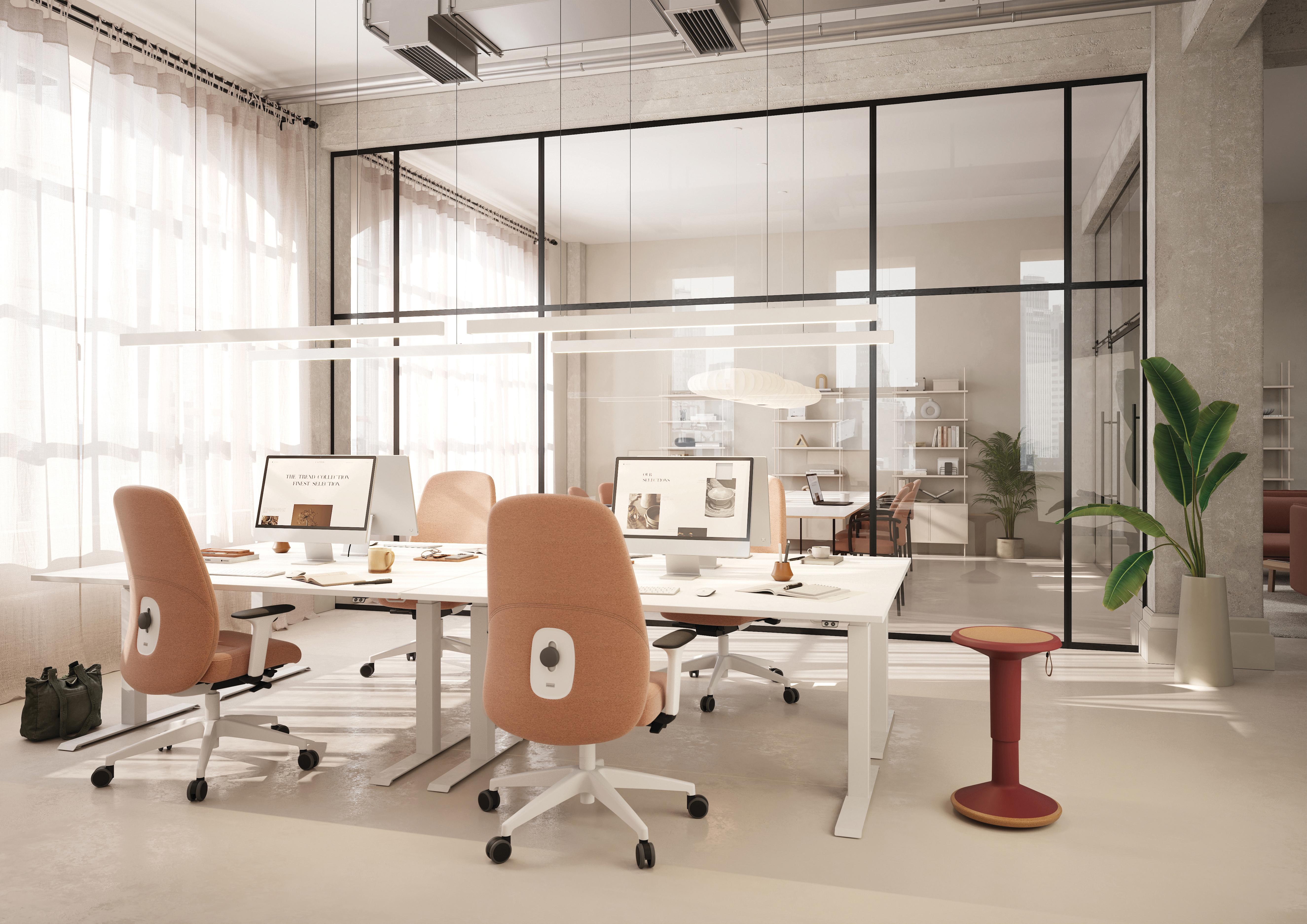 Upis 101 – ECO UP / black-grey frame