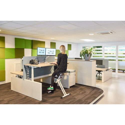 ErgoDeskBike 2.0 basic office bike