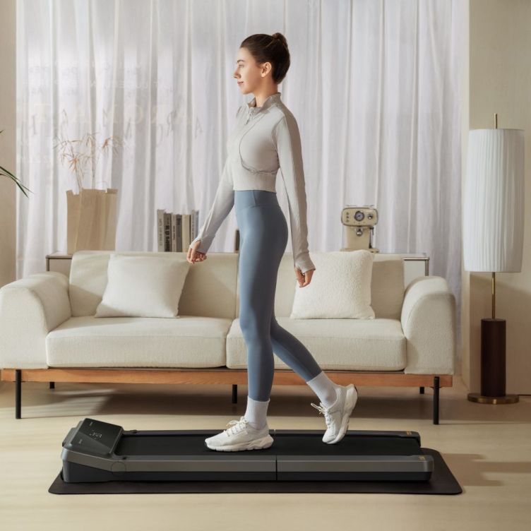 Walkingpad V2 walking treadmill